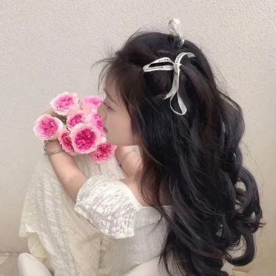 宝石宠物 国语版