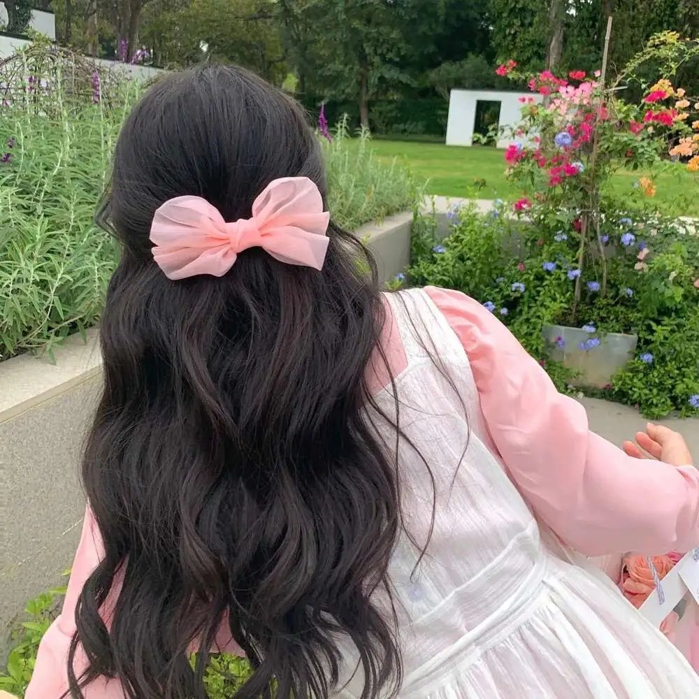 神犬小七第二季